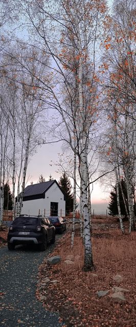 Domki Brzozowe Wzgórze Polanica-Zdrój