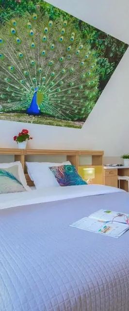 Villa Aviator Jaworze