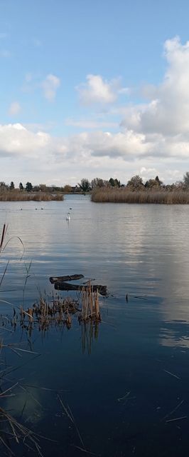 Stég Vendégház Szigetszentmárton