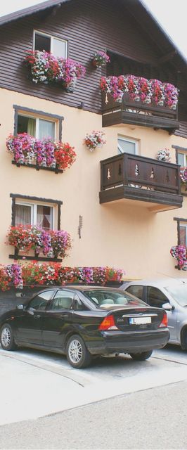 Pensiunea Andutu Bușteni