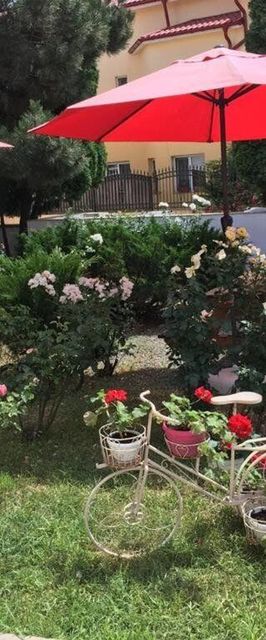 Pensiunea ACF Tineretului Costinești