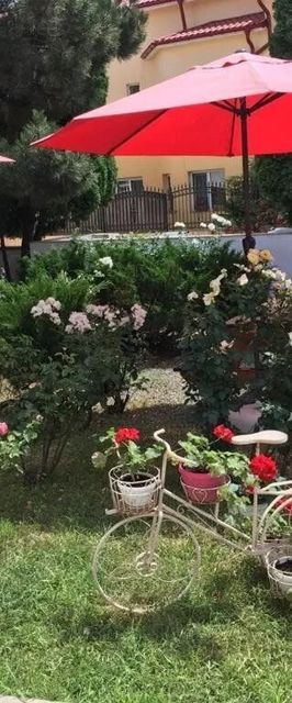 Pensiunea ACF Tineretului Costinești