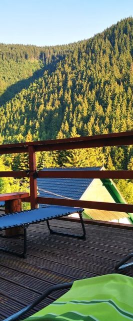 Cabana Trei Brazi Râușor