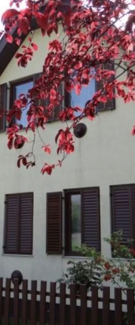 Csillag 15 Apartman Kiskunmajsa