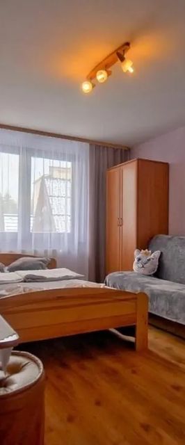 Jesionkówka w centrum Zakopanego