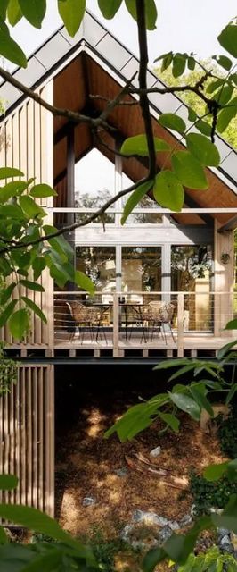 Mimosa Lombház Nemeshetés