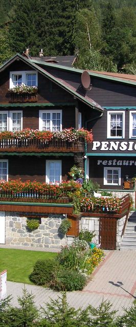 Pension Švýcarský dům Špindlerův Mlýn