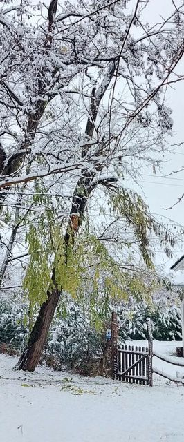 Zöld Küllő Vendégház Fehérvárcsurgó