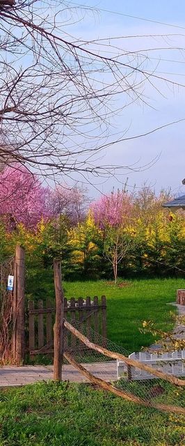 Zöld Küllő Vendégház Fehérvárcsurgó