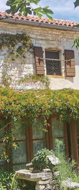 Vendégház Žminj - CLI058