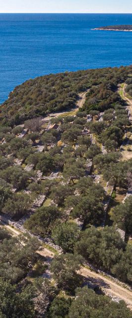 Vendégház Vela Luka - CDS896