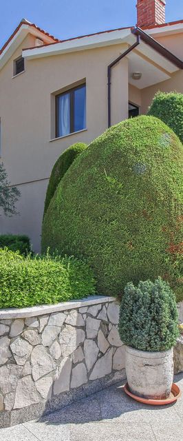 Apartman Gržići - CIS256