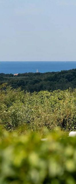 Apartman Tar - CLT184