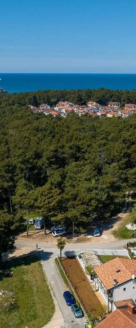 Apartman Poreč - Parenzo - CLT198