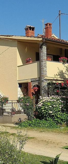 Apartman Tar - CLS709