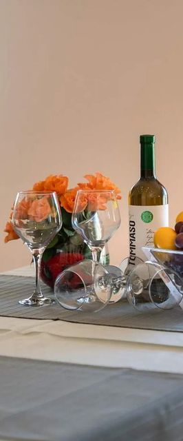 Apartman Poreč - Parenzo - CLS803