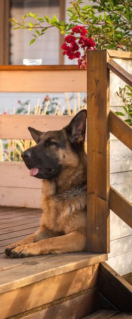 Sielankownia Radków