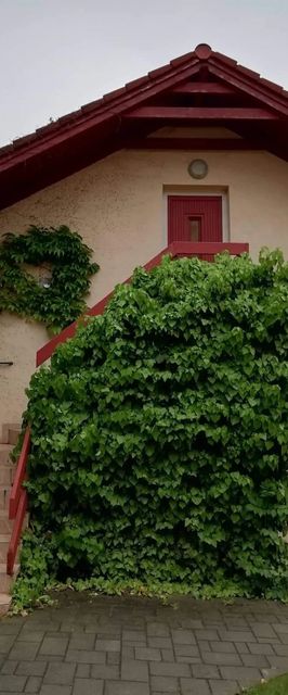 Tuja Vendégház Lajoskomárom