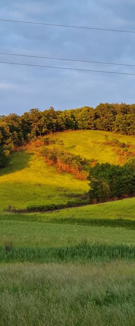 Füstös Vendégház Gömörszőlős