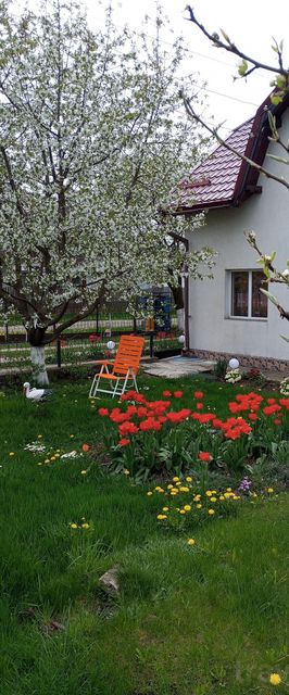 Căsuța Bunicilor Dorna Candrenilor