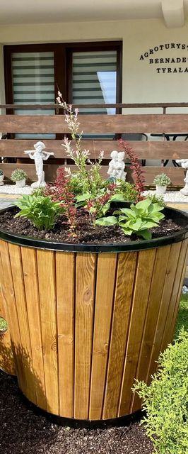 Agroturystyka Bernadeta Tyrała Ciche