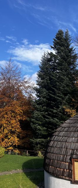 Domki Grasówka Werlas