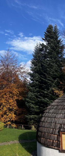 Domki Grasówka Werlas