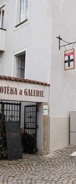 Penzion U Černého kocoura a zeleného stromu Tábor