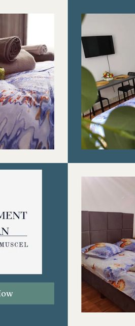 Studio Ștefan Câmpulung