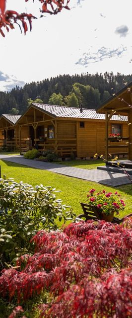 DOMKI POD ZIELONYM WZGÓRZEM Kudowa-Zdrój