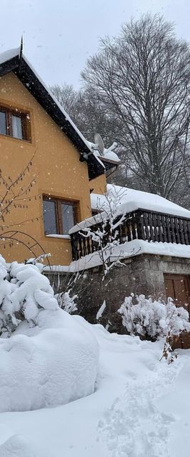 Villa Garden Băile Balvanyos