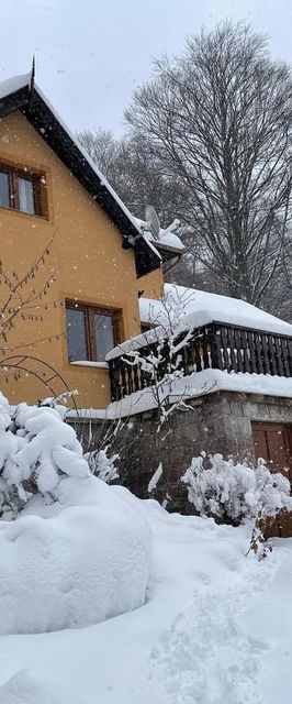 Villa Garden Băile Balvanyos