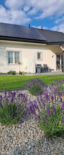 LAWENDOWY ZAKĄTEK POD ŚNIEŻKĄ