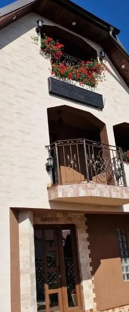 Vila N&N Palace Prundu Bârgăului