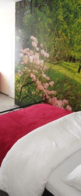 Willa Maksym Ustroń 