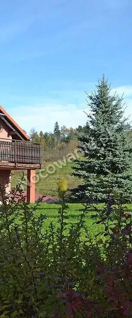 Domek Kurza Stópka Karpacz