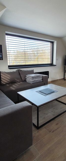 Relax Vila Lipno- apartmán v podkroví u pláže Windy Point Černá v Pošumaví