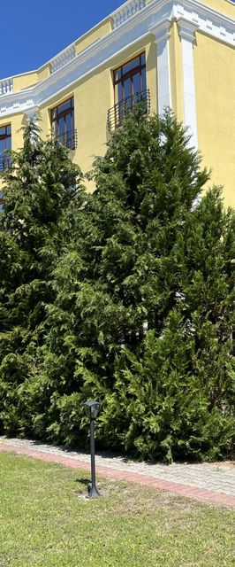 Hotel Golden Palace Göd