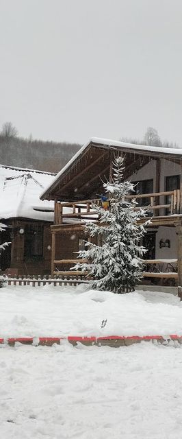 Cabana Mareea Lunca Bradului