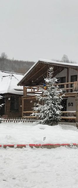 Cabana Mareea Lunca Bradului