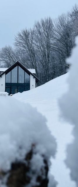 Joli Chalet Râșnov