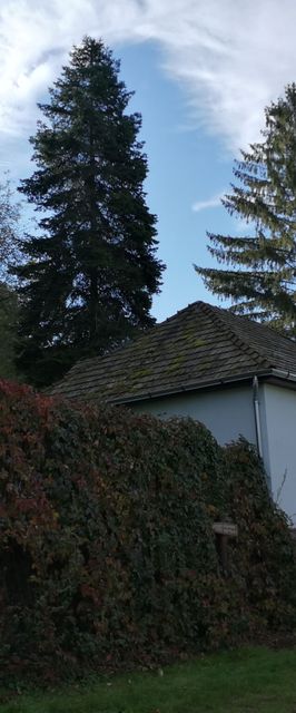 Patakvölgyi Vendégház Kemence