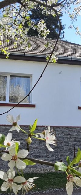 Patakvölgyi Vendégház Kemence