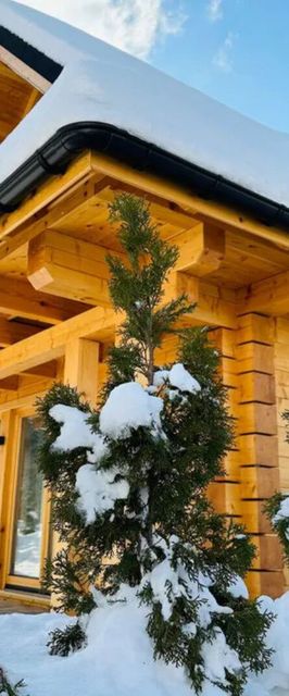 Domki Michelle Wisła