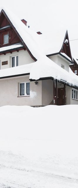 Dom Leśnik Zakopane 