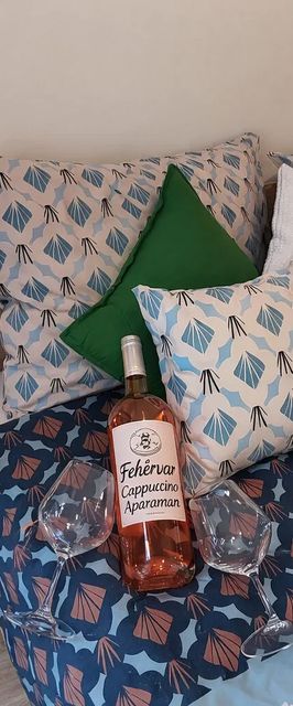 Fehérvár Cappuccino Apartman Székesfehérvár