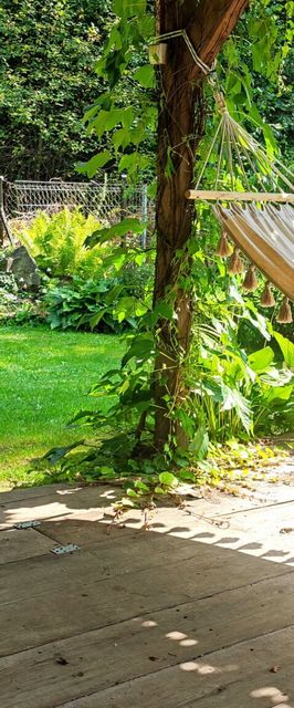 Pokoje Muszynka Guest House Muszyna