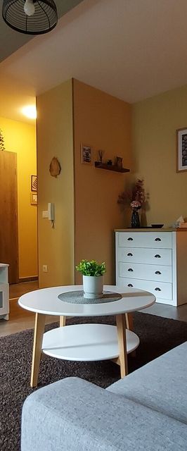 Üstökös Apartman Szeged