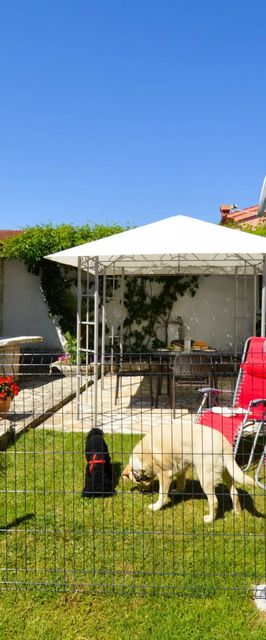 Kuća za odmor Irena Kamen Barban