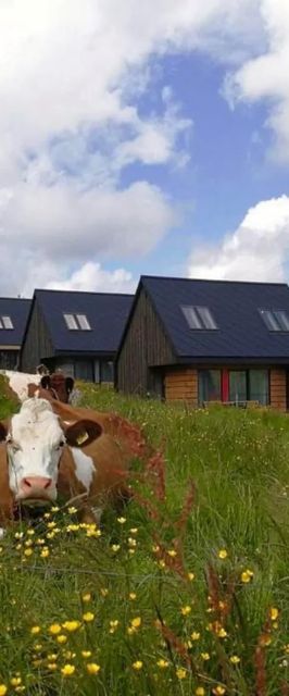 Bystre DOMKI Zakopane